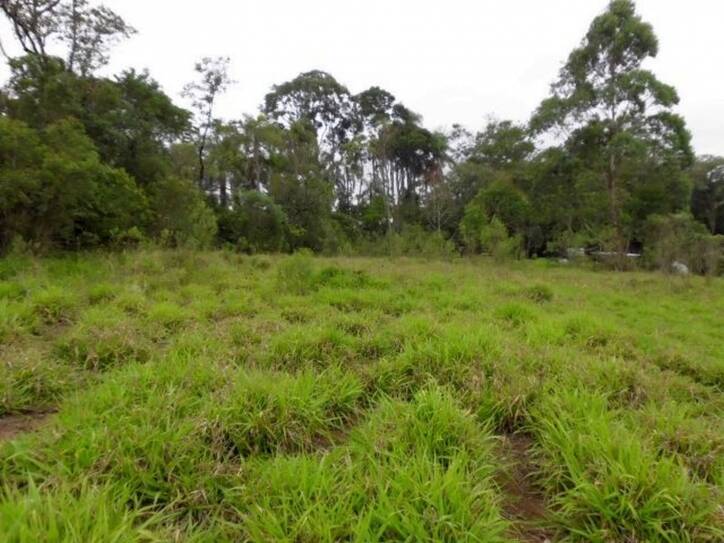 Terreno à venda, 15000m² - Foto 5